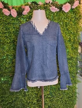Frayed V-Neck Denim Top in Blue